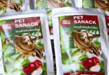 Cách chọn thức ăn cho sóc giúp phát triển khỏe mạnh Cách chọn thức ăn cho sóc